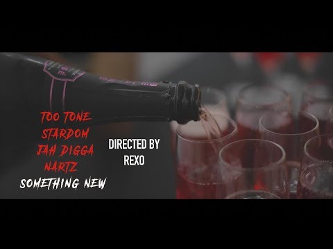 2 Tone, Stardom, Jah Digga, Nartz - Something New (Official Video)