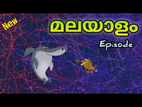 Zig and sharko Malayalam Episode😂|🔥ശരീരം മാറിപ്പോയി ❤
