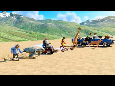 TOP 20 Fastest Animals on Earth