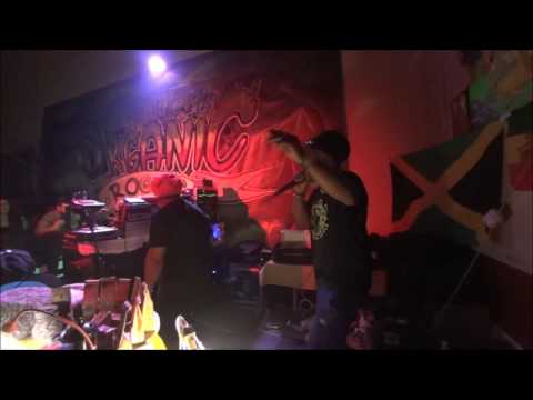 Channel One Soundsystem-Organic Roots Sound System Session