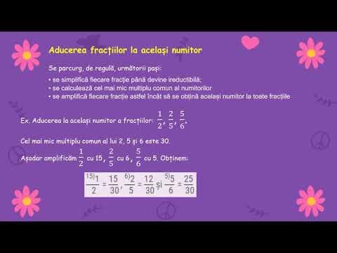 Fracții ordinare - recapitulare - clasa a 5-a.