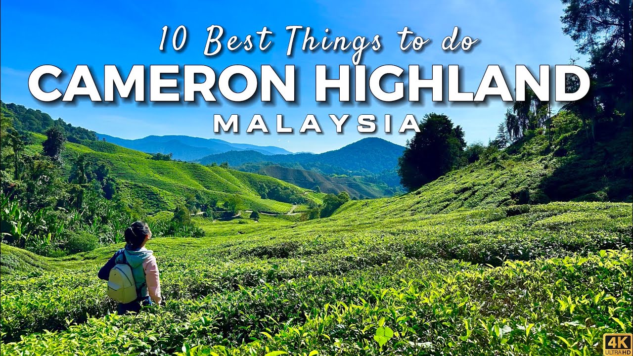 Discover top things to do at Cameron Highlands.