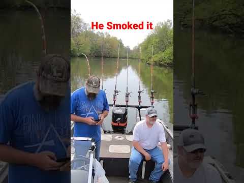 Blue Cat hammered the bluegill head #catfishing #catfishfishing #bluecat #planerboards