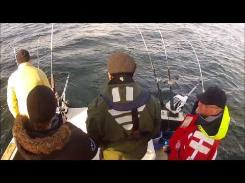 Laxtrolling Bornholm 2013
