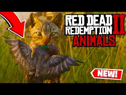 Red Dead Redemption 2: NEW Animals and IMAGES (RDR2)
