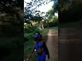 Sabari Malai Ayyappan Pearuvali Paatha Yaathirai