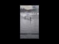 Rowing Fail: Argo-crew  vs Dukdalf/Dolphin