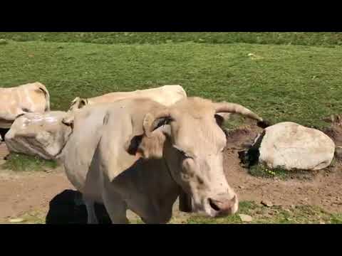 Pyrenees july 2018 part 4,vibraction roadbook 5, TRAVERSE, roadtrip with Suzuki Jimny's