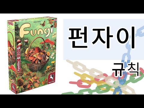 펀자이 규칙 설명