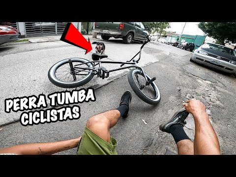 THIS BITCH KNOCKED ME OFF MY BIKE TWICE IN THE MIDDLE OF THE STREET 😡🥲