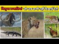 दुनिया की 5 विलुप्त प्रजातियाँ Top 5 Extinct Speci