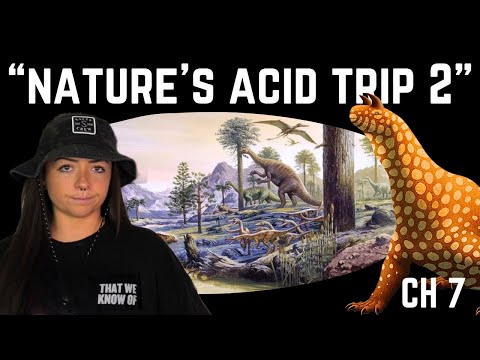 The Triassic Period (That We Know Of) ft. Paleo Analysis | Lindsay Nikole