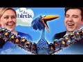 PIXAR S FOR THE BIRDS 2000 Pixar S Short REACTION