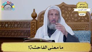 7 - ما معنى الفاحشة؟ - عثمان الخميس
