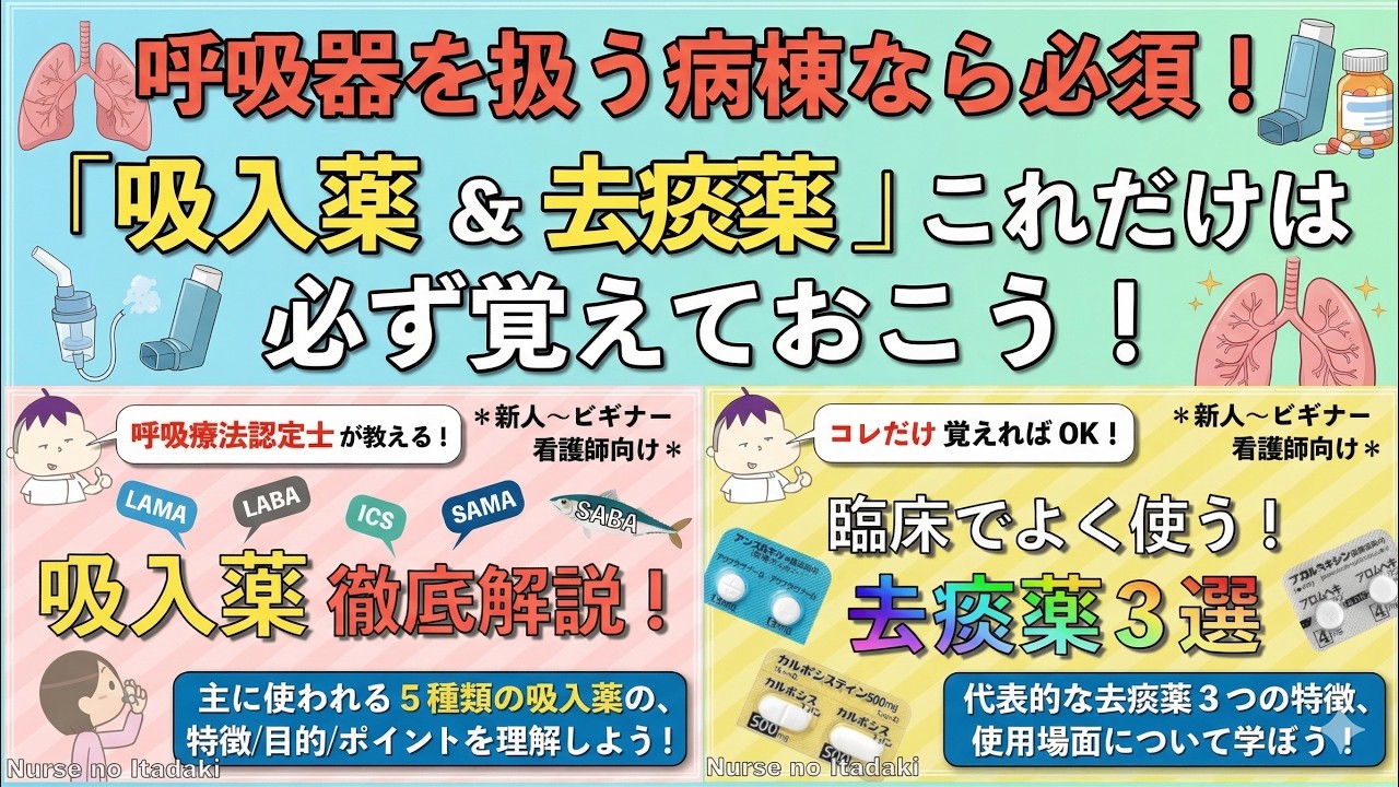 【吸入薬＆去痰薬マスター講座！】呼吸器を扱う看護師必見！まずは､これだけ覚えておこう！