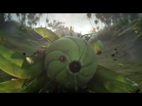 Short Film Score I