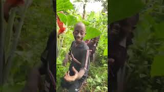 Download lagu Rango teke teke #youtubeshorts #duet #tumi #youtube #ami mp3