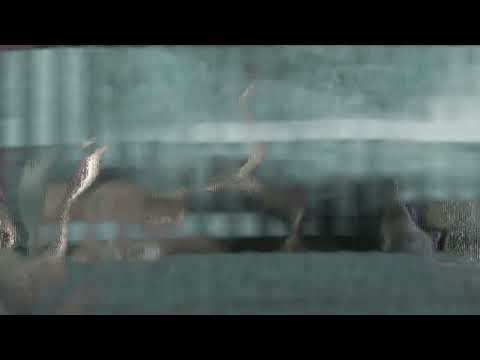 ATRIP & niina - In the Booth