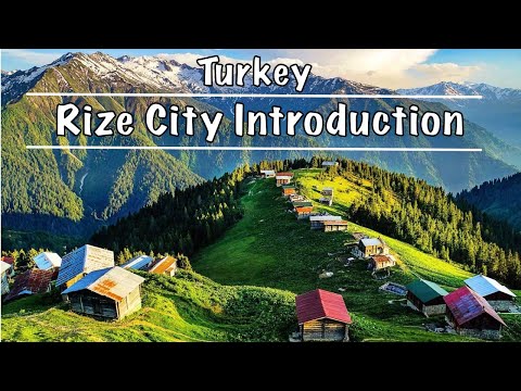 Rize City Introduction