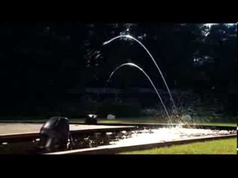 Watch Video on YouTube