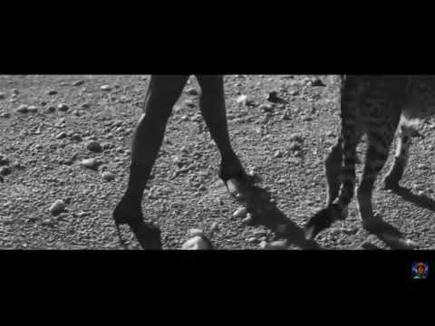 DRAKE FT MICHAEL JACKSON “ IT DONT MATTER TO ME” (OFFICIAL MUSIC VIDEO)