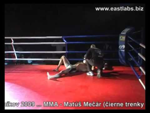 Matus Mecar vs Czene MMA fight Nitra