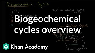 Biogeochemical cycles  | Ecology | Khan Academy