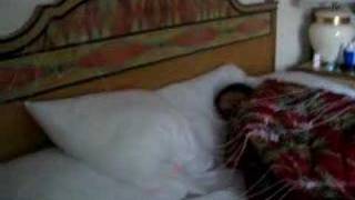 Rose gets it for Always Talking SLICK