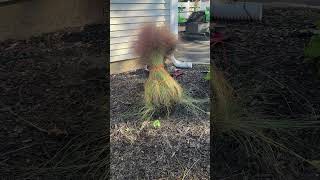 Download lagu Shrub Hack! mp3