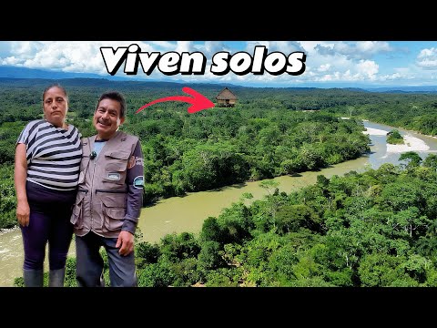 They live ALONE in the JUNGLE and have created a small PARADISE