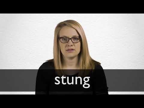 Stung definition and meaning | Collins English Dictionary
