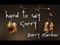 Hard to say I'm sorry - Barry Manilow (lyrics)