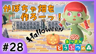 #28【あつ森】アプデ来たー！かぼちゃ畑作ろう♪【関西女性ゲーム実況】