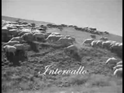 Musica di intervallo RAI alternativa  di corto periodo , anni '70