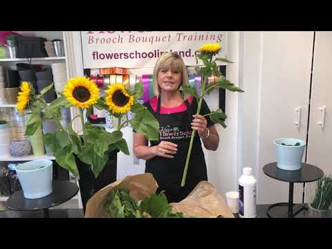 How to keep sunflowers standing tall and looking beautiful