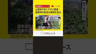 「とうとう山でクマにやられると…」ヒグマに覆いかぶさられ九死に一生、山菜採り男性が語る恐怖の瞬間