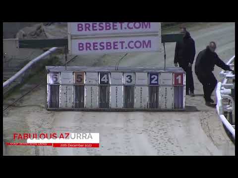 Fabulous Azurra - BGBF British Bred Derby Final 2022