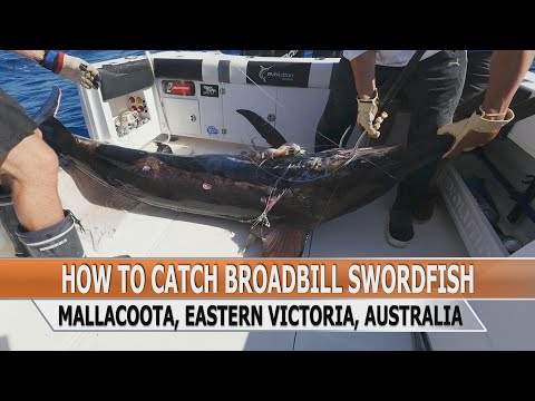 Fishing Edge episode - How To Catch Broadbill Swordfish