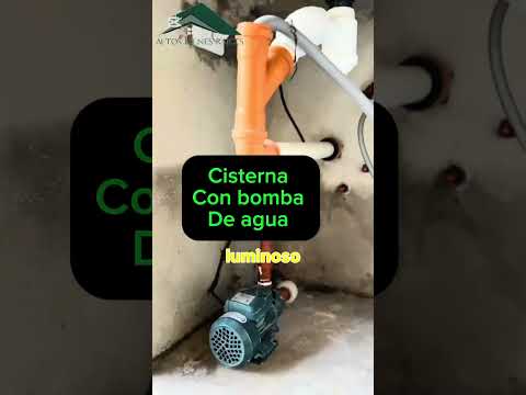 12 de agosto de 2026