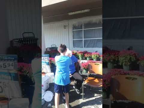 download lagu mp3 mp4 Andina Cream, download lagu Andina Cream gratis, unduh video klip Andina Cream