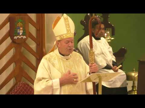 The Homily delivered by Archbishop Julian Porteous for Easter Sunday Mass 2024