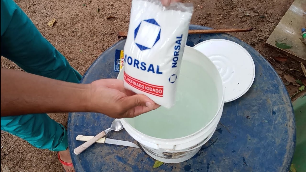 quintal com mato nunca mais / mata mato caseiro