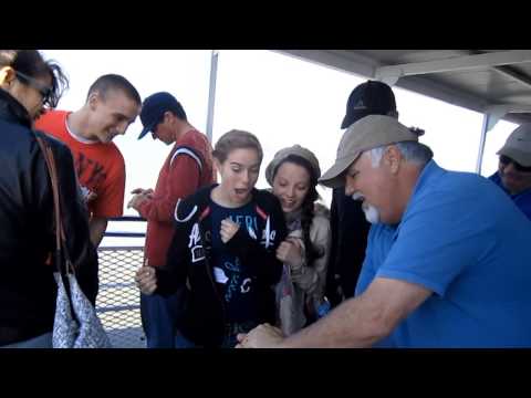 Rodger Lovins Magic Presents "WHAT THA"