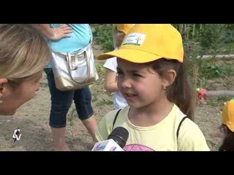 A Castelferretti l'iniziativa "Io Pianto il Futuro"