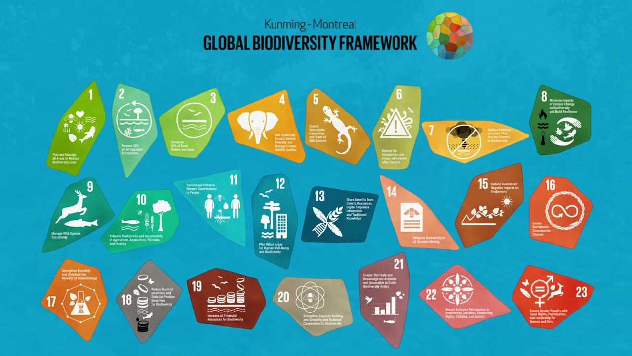 IDB 2026 - Ransford Agyei - Conservation & Research Development Officer, A Rocha Ghana