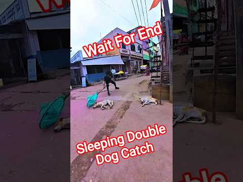 Street Dog Revival  and 3 more