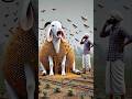 AI Cartoon Video Tamil Ai Facts Trendingshorts Animals Cartoon Shortvideo Bee Honeybee