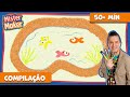 Sob O Mar ‍ MISTER MAKER Em PORTUGUÊS Compilação De Episódios Temporada 1