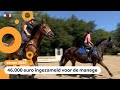 Hoe is het nu met Anouk, Karlijn en de zieke paarden op hun manege?