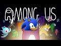 The Among Us Question Team Sonic Answered